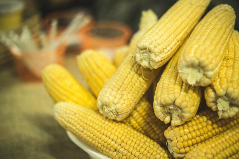 corn-2251499_1920-e1625079469441