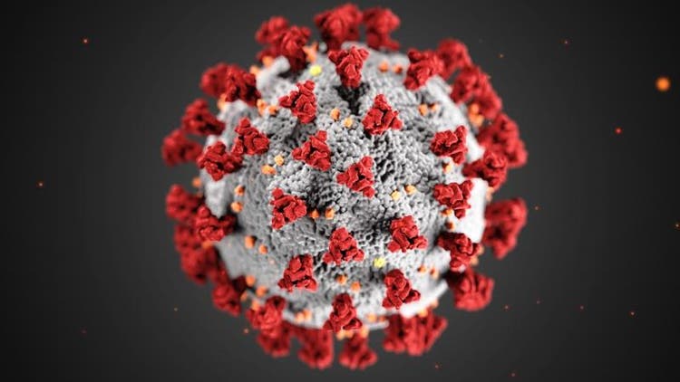 coronavirus-1_7