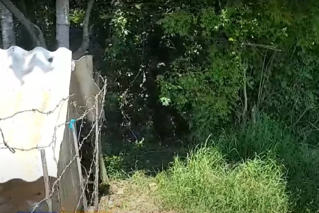 corpo-carbonizado-encontrado