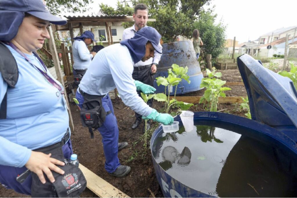 dengue-em-curitiba-bairros-mutirao