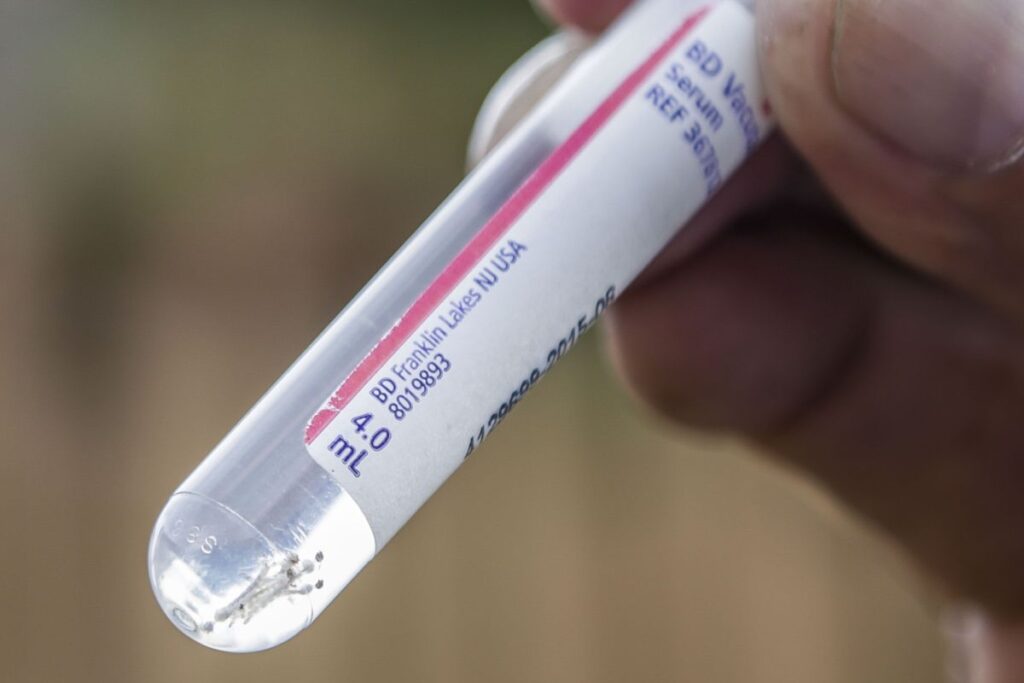 dengue-parana-1-1 dengue-curitiba