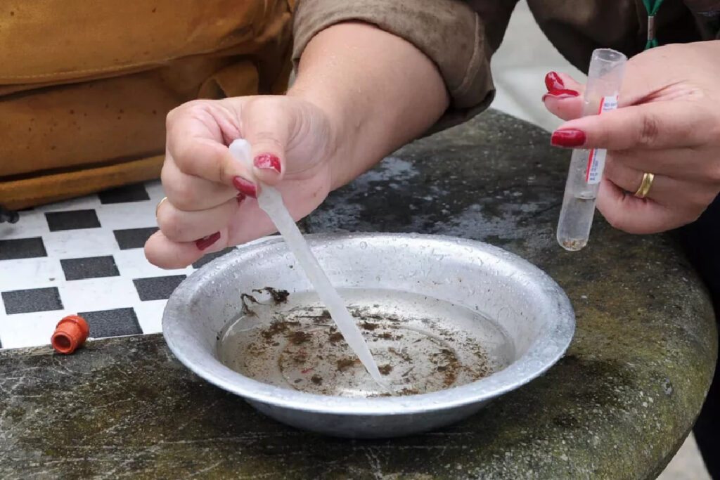 dengue-parana-casos-confirmados dengue-parana-casos-confirmados