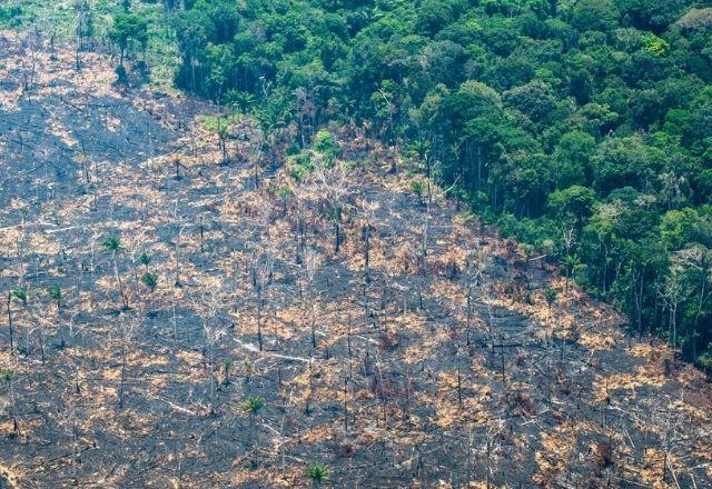 desmatamento-amazonia desmatamento-amazonia