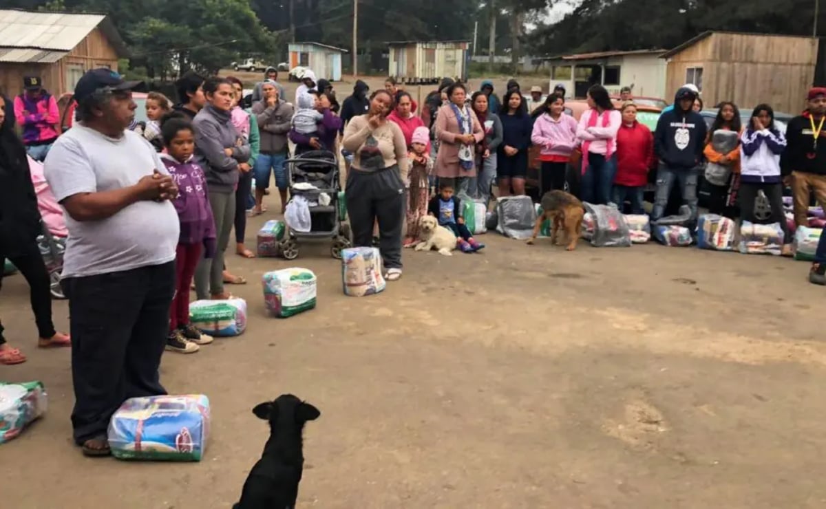 doacao-alimentos-curitiba