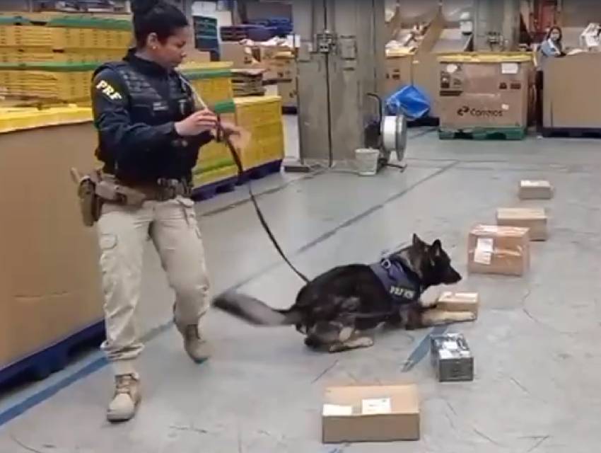 drogas-encomendas-dos-correios