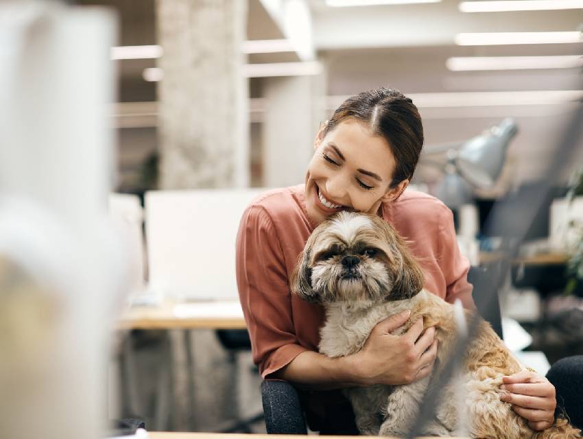 espacos-pet-friendly-em-curitiba