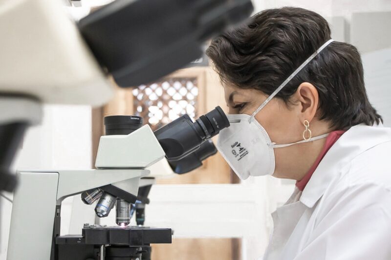 estudo-uepg-e1624468454425