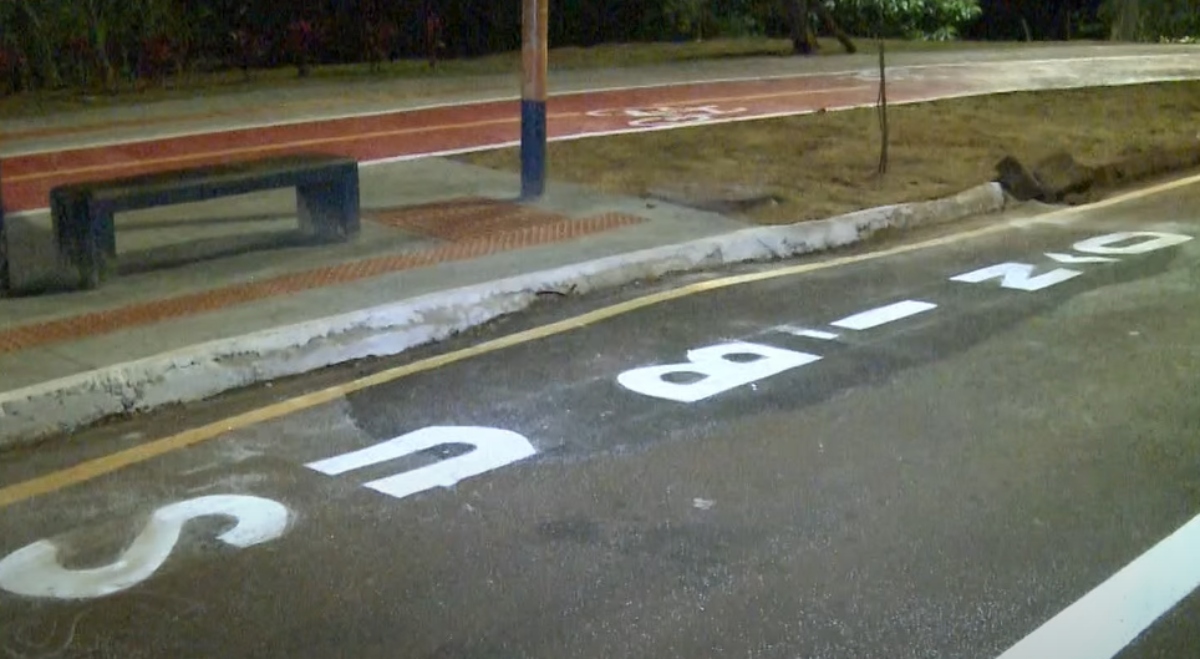 faixa-dedestre-londrina (1)