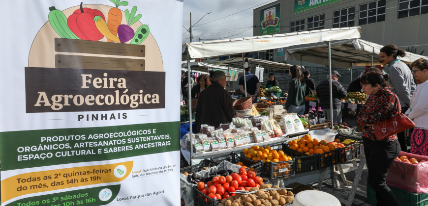 feira-pinhais feira-pinhais