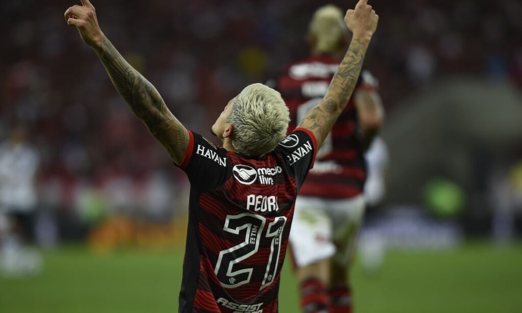 Foto: Marcelo Cortes / Flamengo