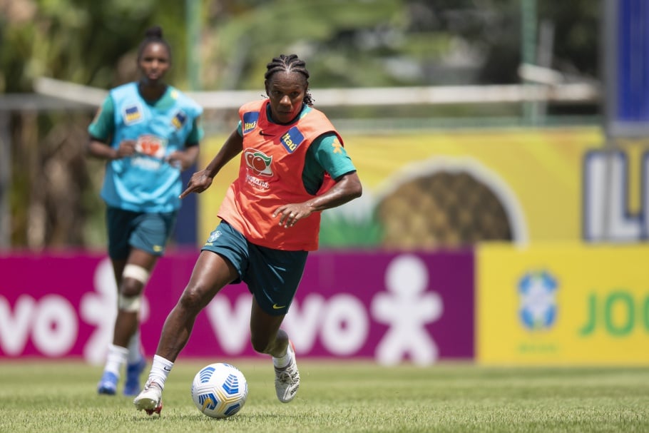formiga-despedida-selecao