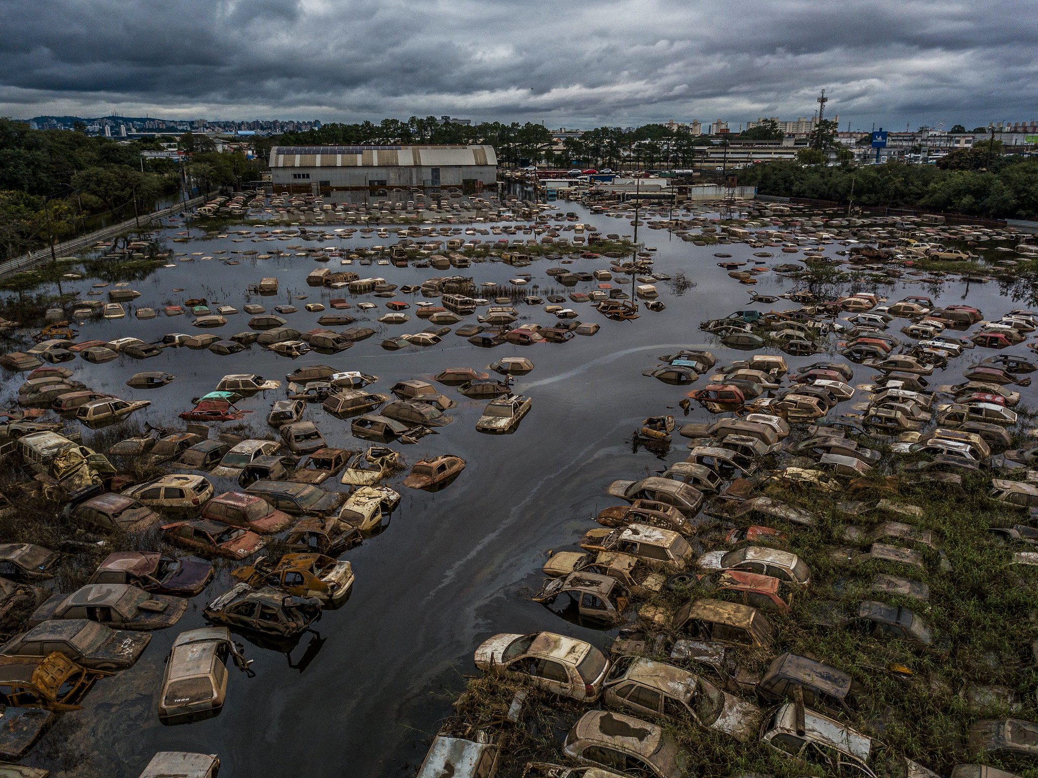 fotos-cemiterio-carros-porto-alegre-imagens