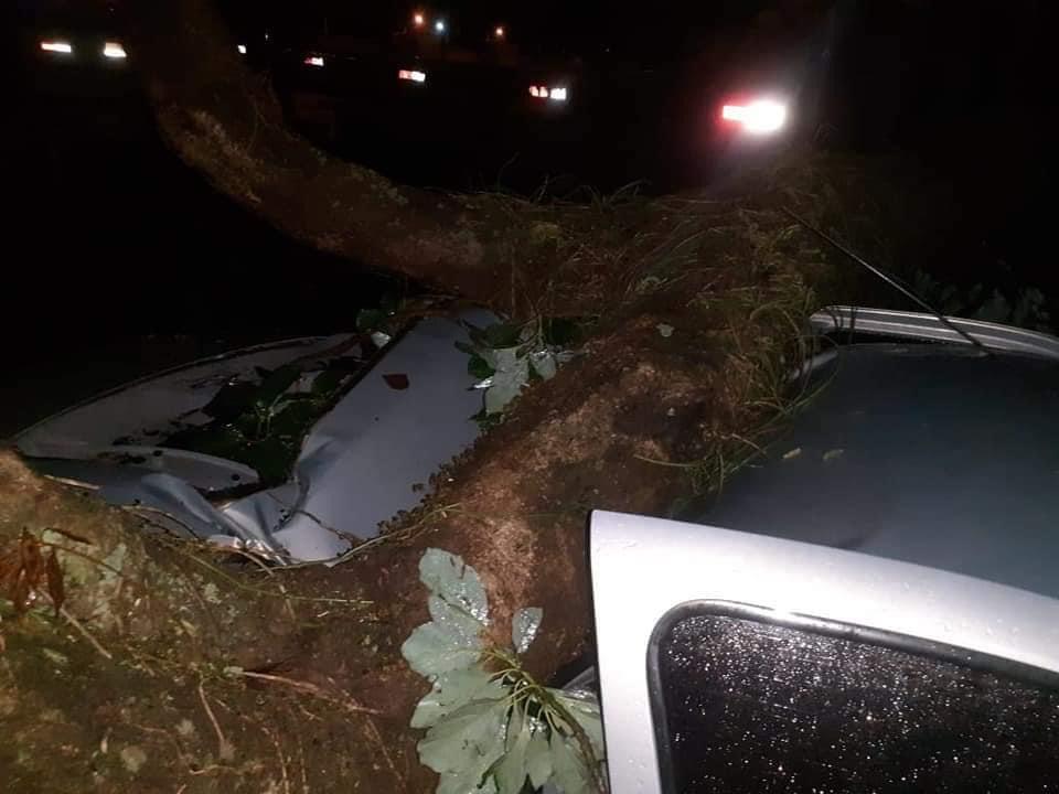 Reprodução/Facebook