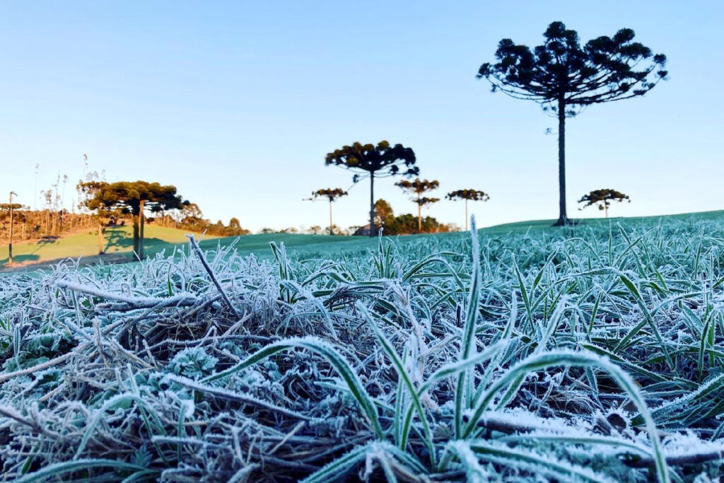 frente-fria-parana-geada frente-fria-parana-geada