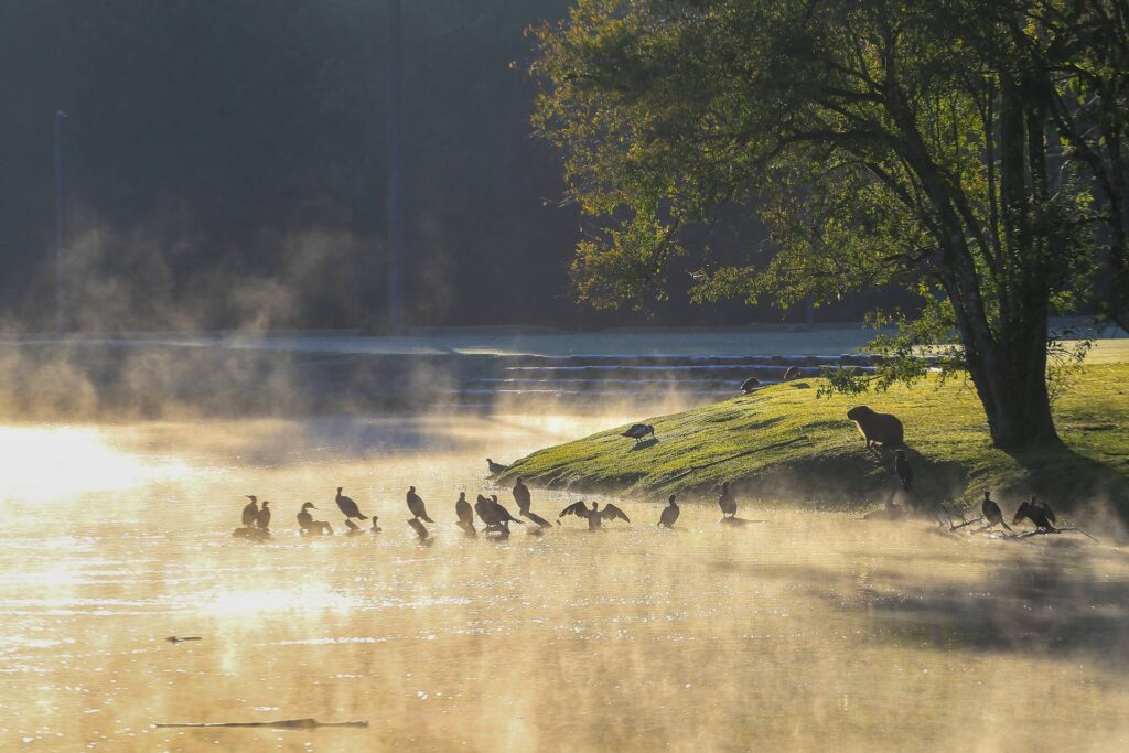 frio-no-parana