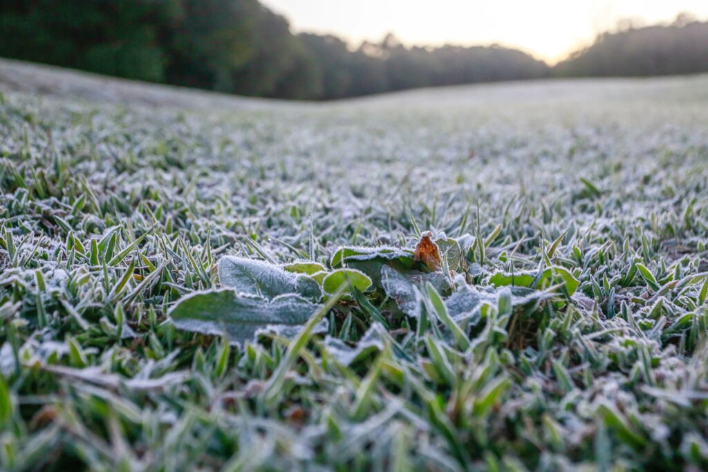 Frio em Curitiba –