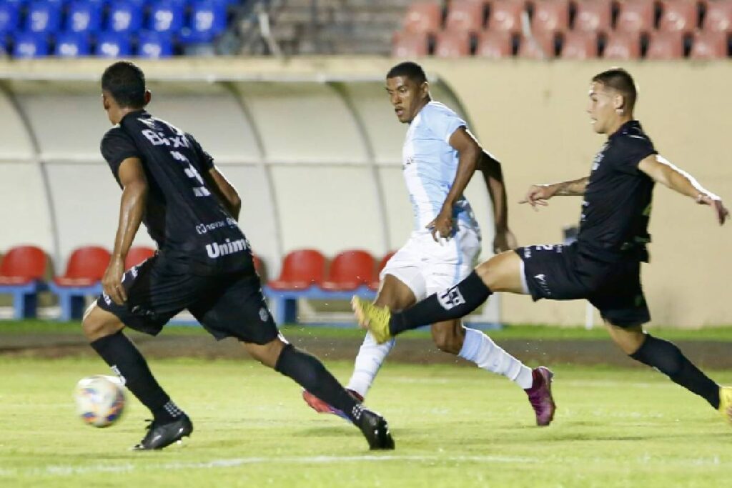 galo-maringa-londrina-paranaense galo-maringa-londrina-paranaense