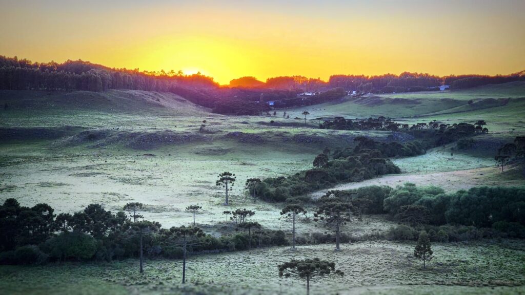 geada-janeiro-serra-catarinense geada-janeiro-serra-catarinense