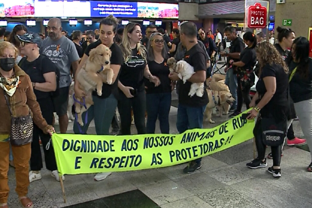 golden-que-morreu-aviao-protesto