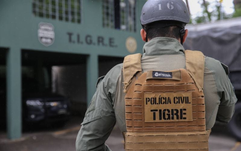 grupo-tigre
