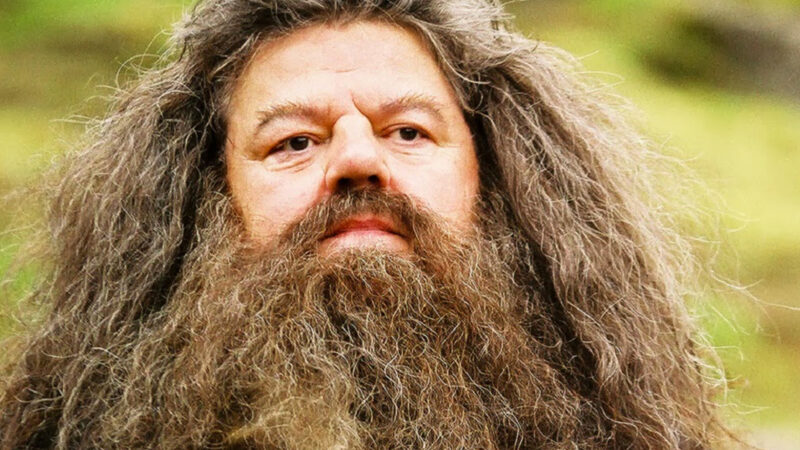 hagrid-e1665768585170