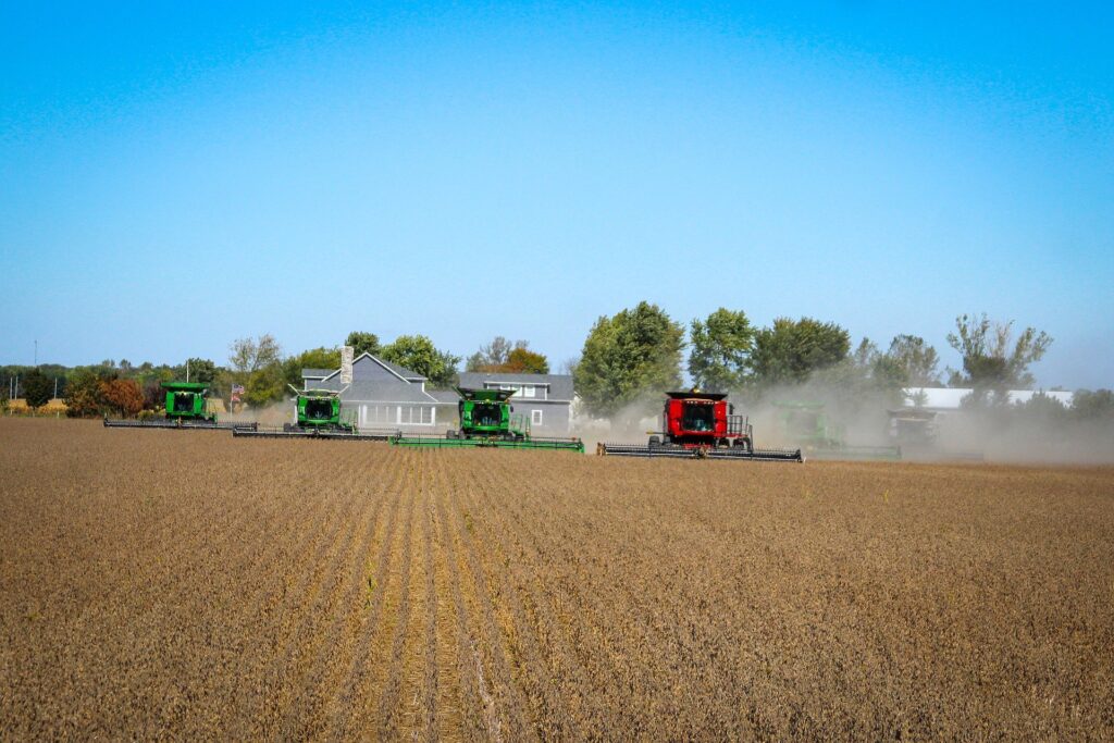 harvest-5307547_1920 harvest-5307547_1920