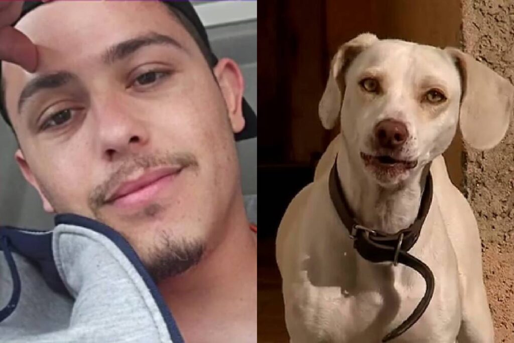 homem-mata-vizinho homem-mata-vizinho
