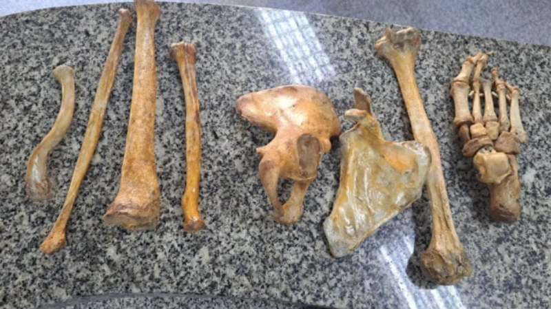 homem-vende-ossos-humanos