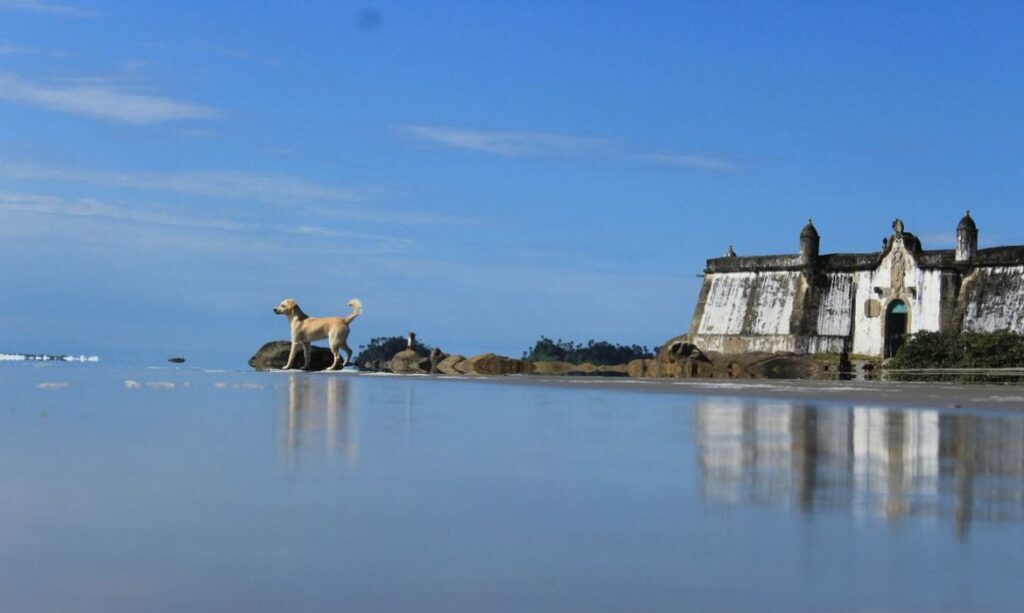 Ilha do Mel,Povos tradicionais