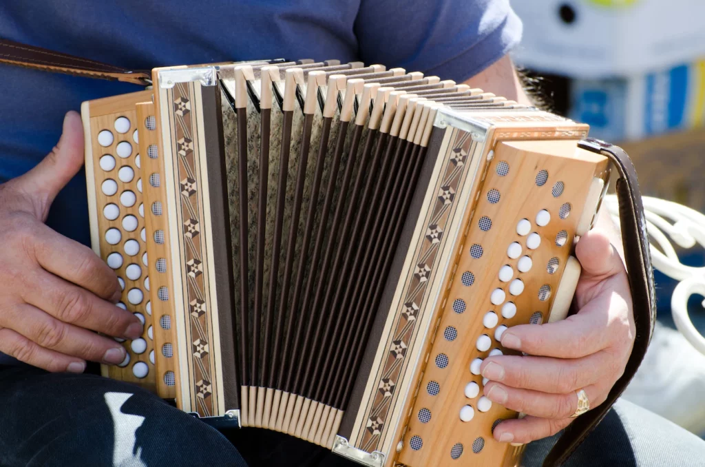 imagem-aproximada-de-um-homem-tocando-acordeao_181624-18566 imagem-aproximada-de-um-homem-tocando-acordeao_181624-18566