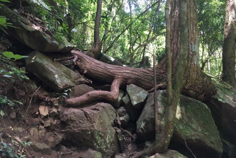 img-20220204-wa0052-e1643997731201