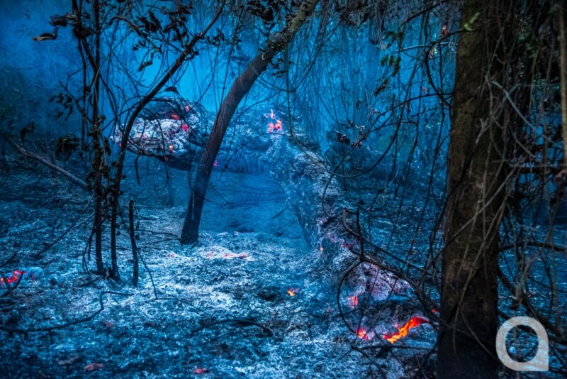 incendio-bosque-e1632410528374