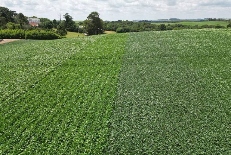 inovacao-na-agricultura