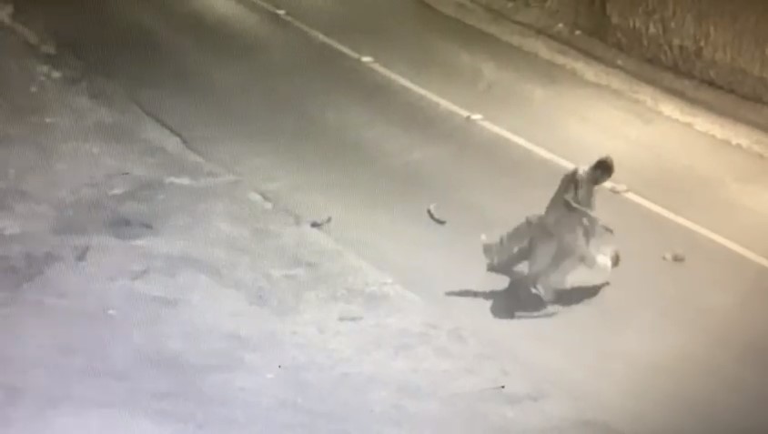 irmaos-briga-santa-felicidade