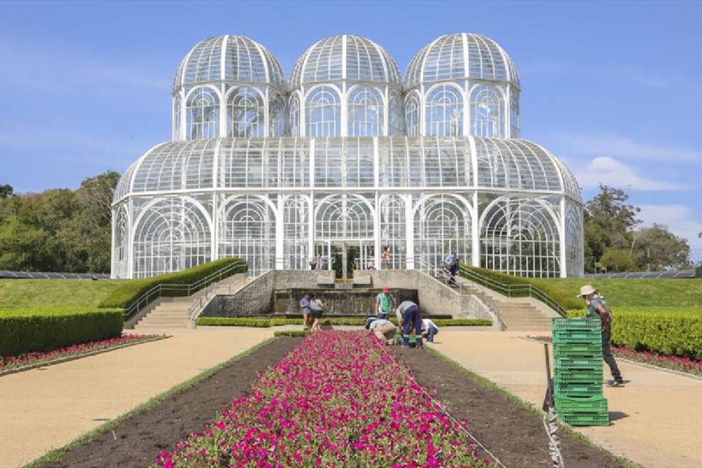 jardim-botanico-curitiba-petunias
