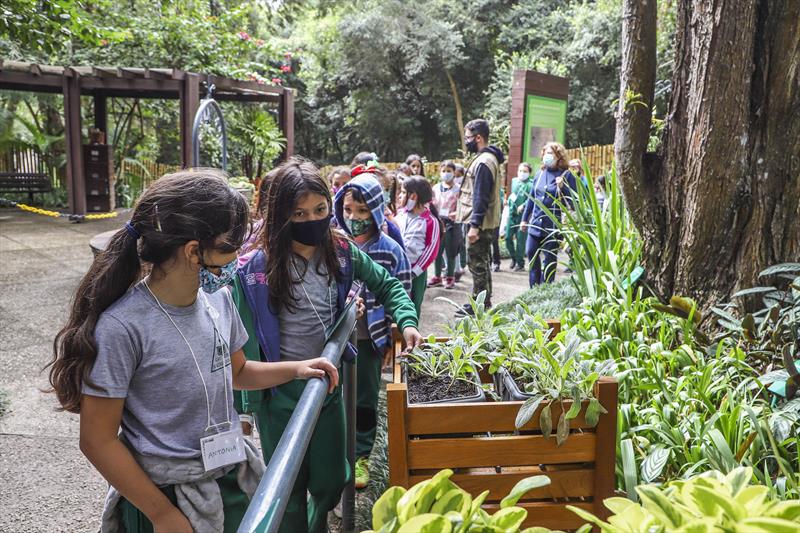 jardim-sensacoes-jardim-botanico-curitiba