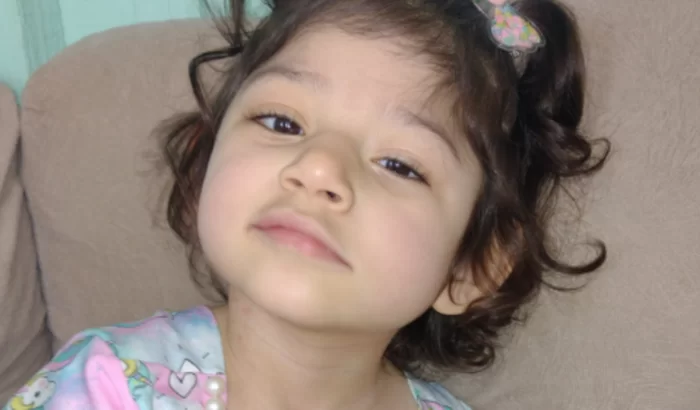 luiza-vaquinha luiza-vaquinha
