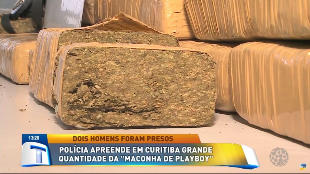 maconha-3