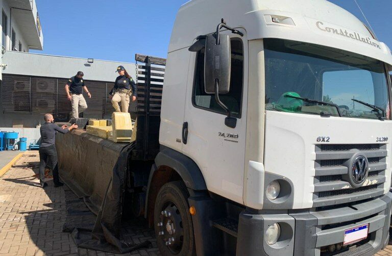 maconha-e1627328030782