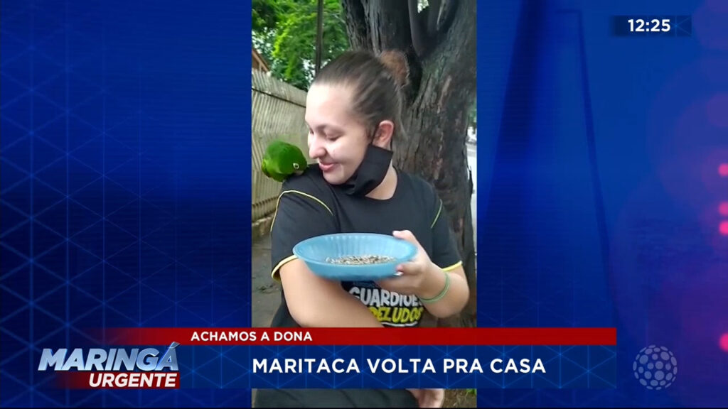maritaca maritaca