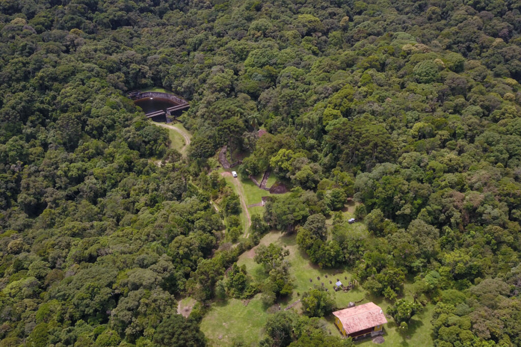 mata-atlantica-parana
