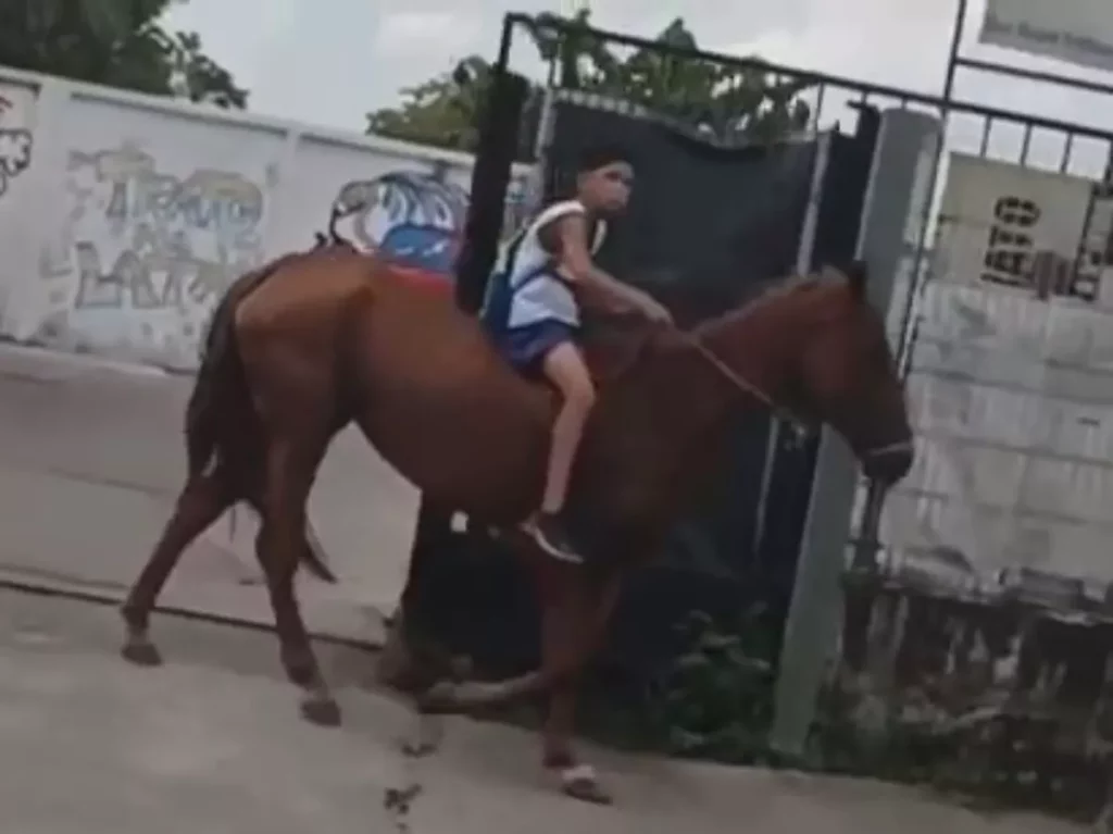 menino-indo-de-cavalo-para-a-escola criança indo de cavalo para a escola