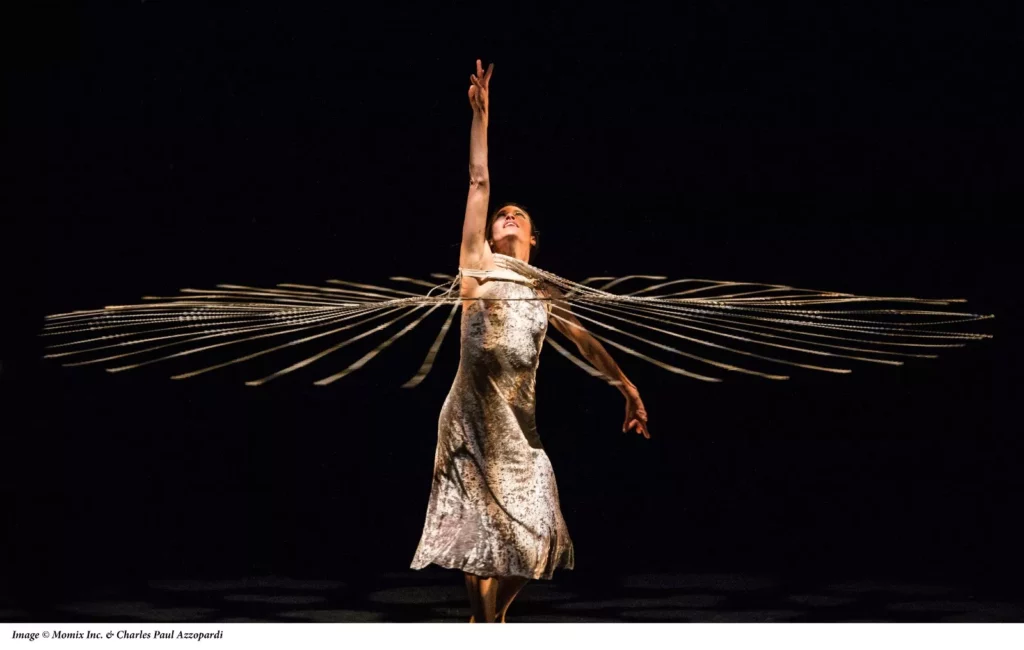 momix-danca-curitiba