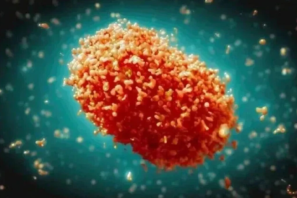 mpox-vacina mpox-vacina