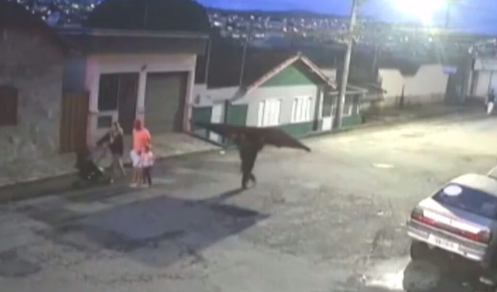 mulher-obriga-homem-devolver-portao