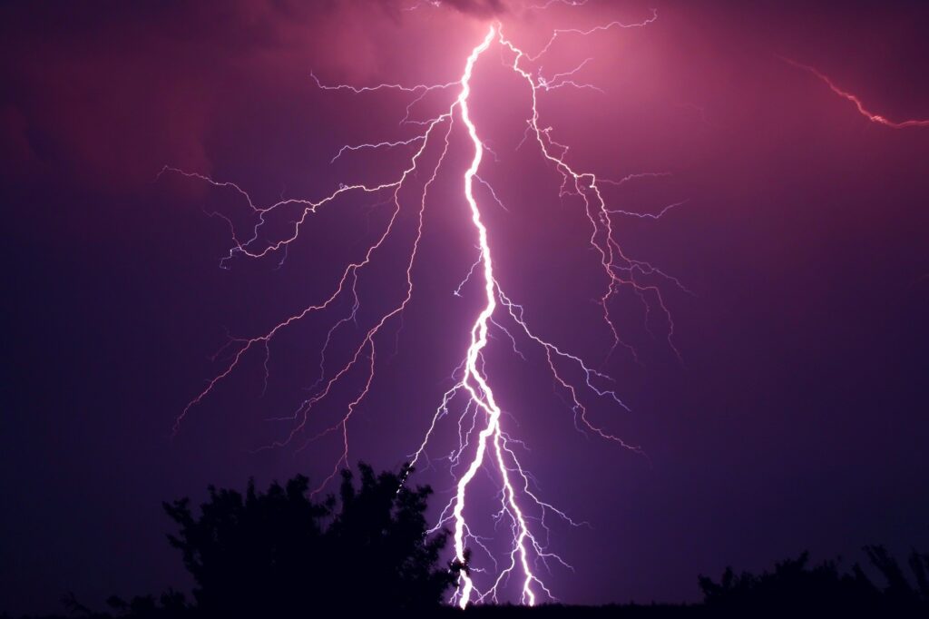 nature-plant-sky-night-purple-dark-857912-pxhere.com_ nature-plant-sky-night-purple-dark-857912-pxhere.com_
