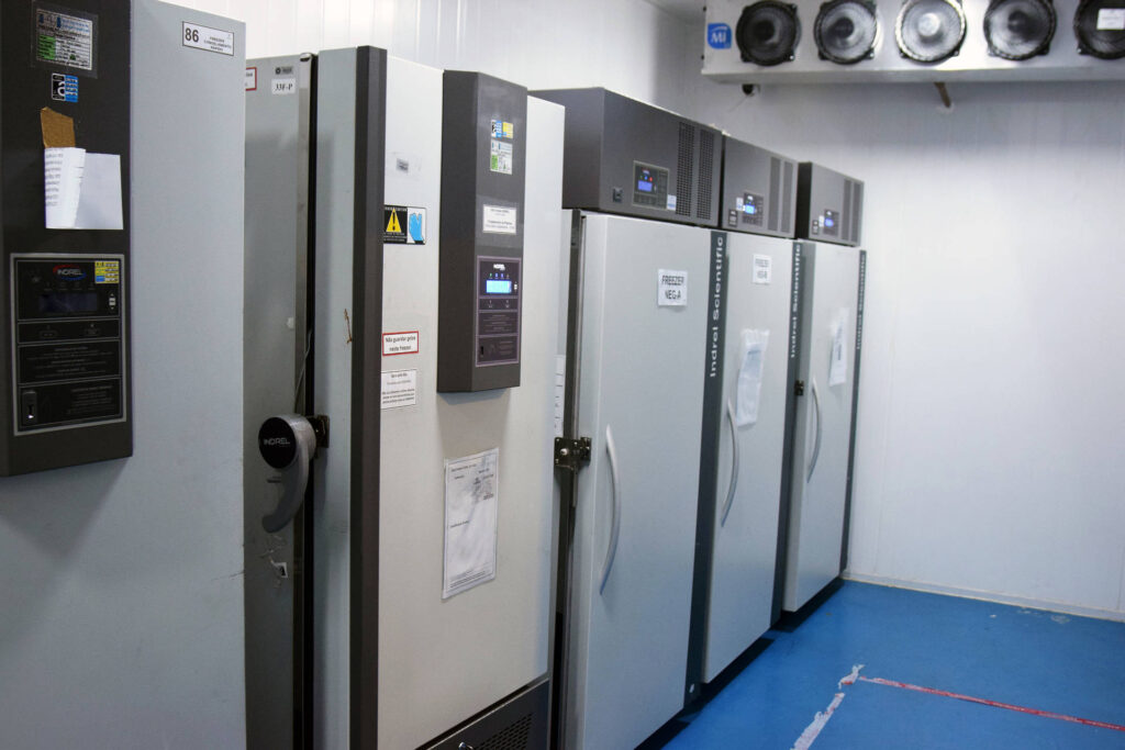 Saúde freezers  –  Foto: SESA