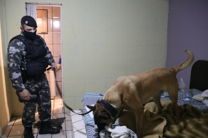 normal_IMG_2141-e1629491580527