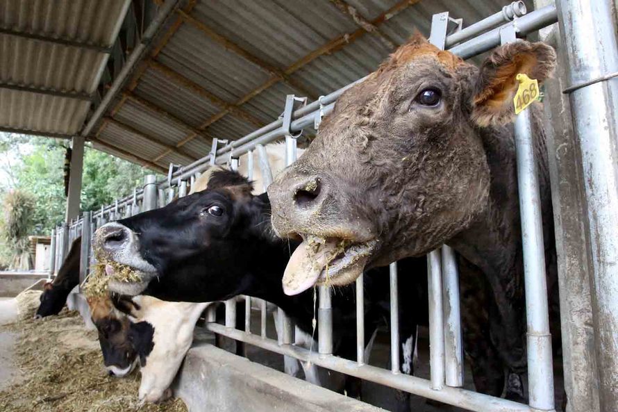 normal_JAJA0210_copy