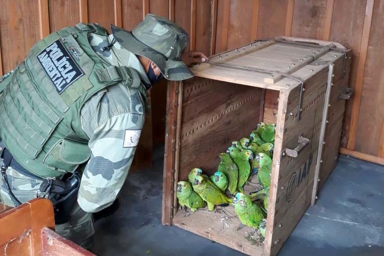 normal_WhatsApp_Image_20210531_at_17.00.50